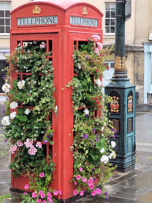 A traditional red British telephone box partially covered with vibrant, mixed flower arrangements, including pink, white, and purple blooms, with green foliage spilling over the sides. The telephone b