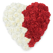 An overhead, heart-shaped composition of densely packed carnations, split cleanly down the middle into two contrasting colour fields and set against a bright white background. The left side is a cushion of off-white and creamy carnations, their ruffled, frilled petals layered so closely they read as a soft, tactile surface; the right side is a field of vivid red carnations, deep and saturated, their crinkled petals catching light and suggesting warmth and intensity. The divide between the halves follows a deliberately serrated, saw-tooth line of tiny triangular points, the jagged rhythm of the edge giving the heart a graphic, heraldic quality that strongly evokes the white-and-red motif of Bahrain's flag. Under gentle, diffuse studio light you can almost sense the faint, clove-like scent of fresh carnations and the coolness of their stems cupped beneath the blooms. As a florist in Lisson Grove I picture this piece resting on a simple table near Lisson Street or being brought to a civic memorial at a nearby community centre, its two-tone language speaking of national pride, unity, and affection. The craftsmanship is meticulous: each bloom positioned to enhance texture and depth, creating a lovingly dense surface that reads from a distance and rewards close inspection. This arrangement can sit quietly at a remembrance event, headline a cultural celebration, or serve as an intimate tribute from neighbours and families across Marylebone and Regent's Park, translating colour into feeling with precision and care.